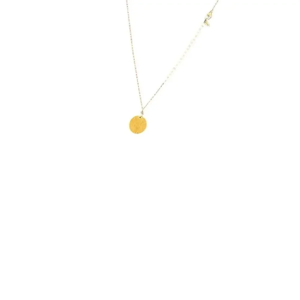 Gold Rose Coin Pendant Necklace Dainty Minimalist Floral Disc Charm 18 Inch